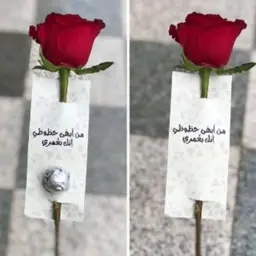 تاق "من أبهى حظوظي"